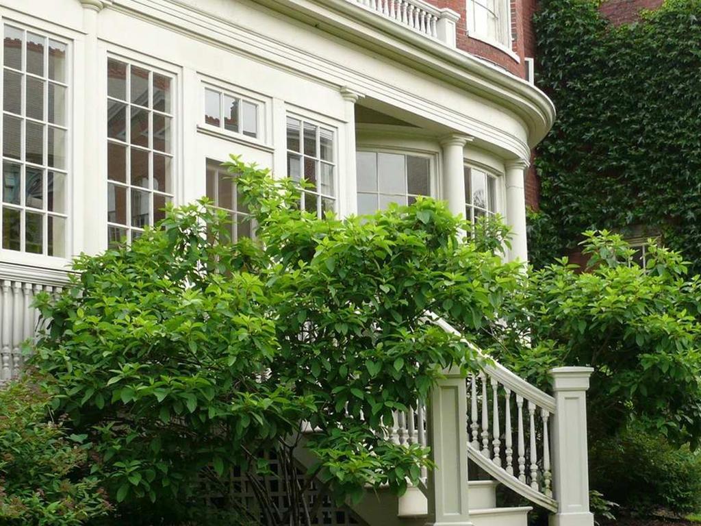 Blind Tiger Portland - Danforth Street Guest House מראה חיצוני תמונה